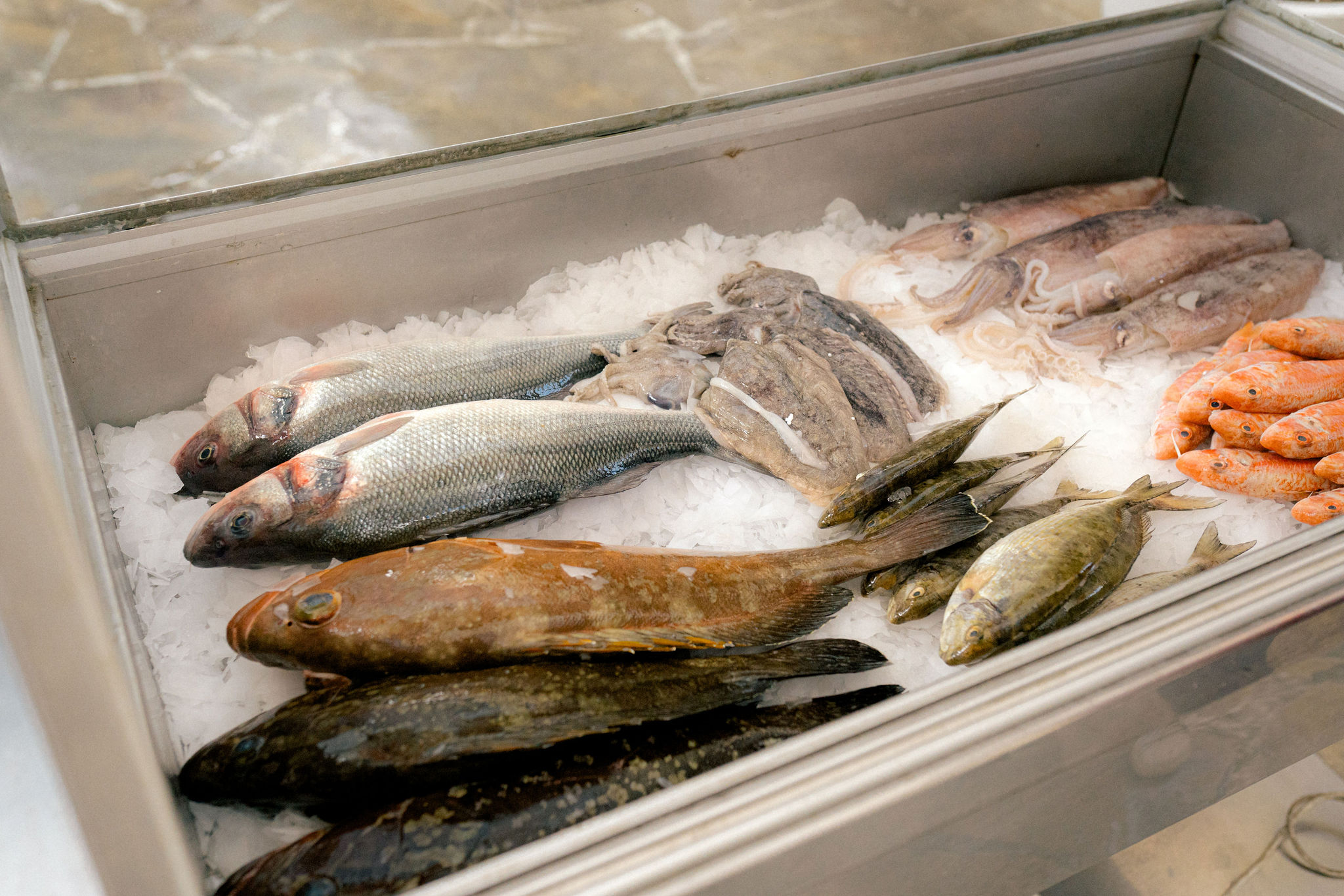 Fresh fish on ice display